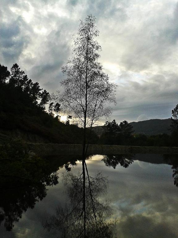 Quinta Da Penela Vendégház Vieira do Minho Kültér fotó