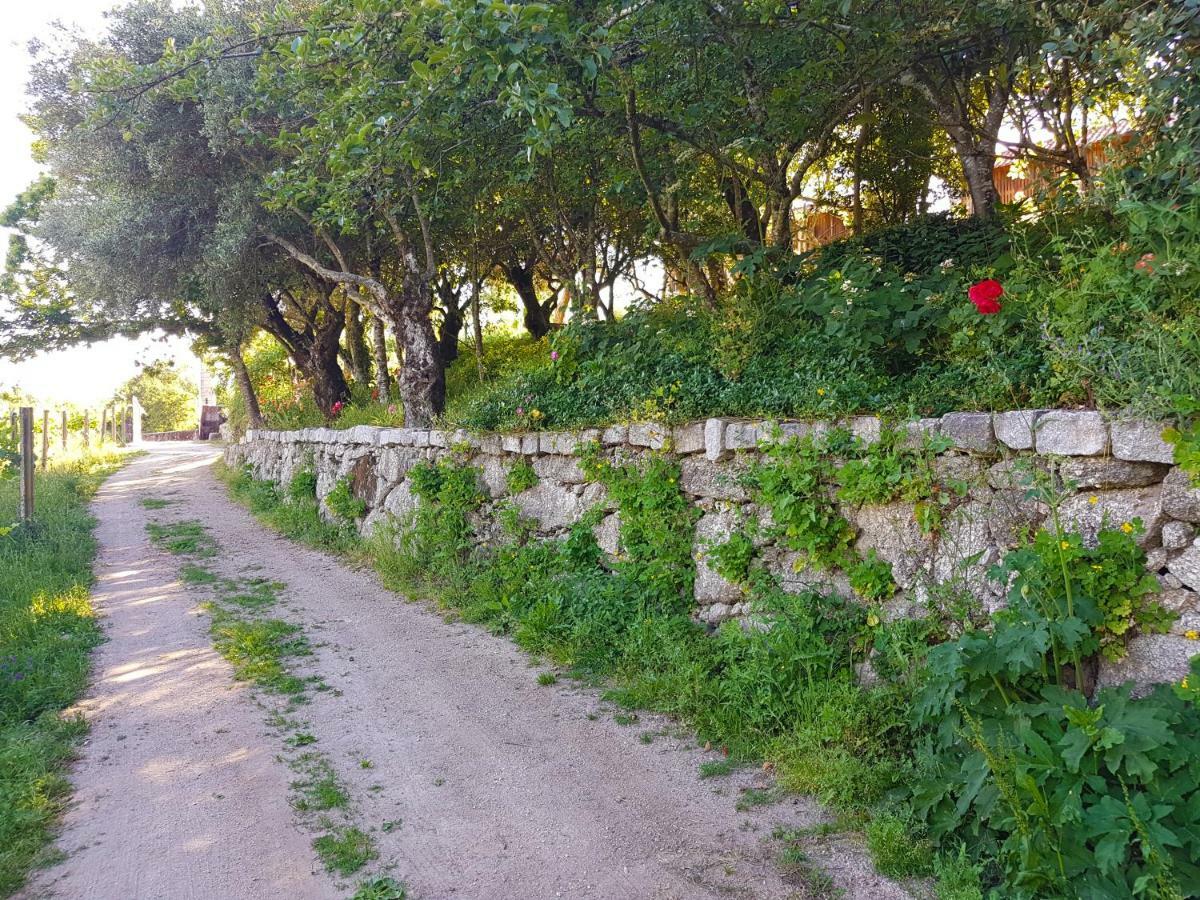 Quinta Da Penela Vendégház Vieira do Minho Kültér fotó