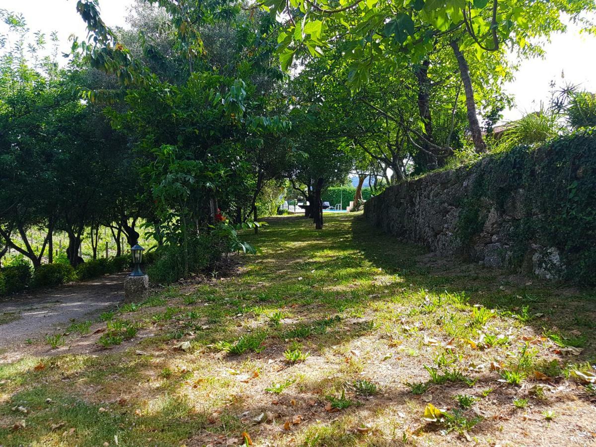 Quinta Da Penela Vendégház Vieira do Minho Kültér fotó