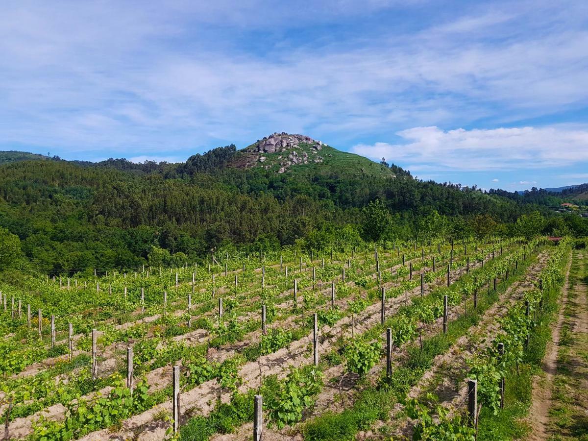 Quinta Da Penela Vendégház Vieira do Minho Kültér fotó